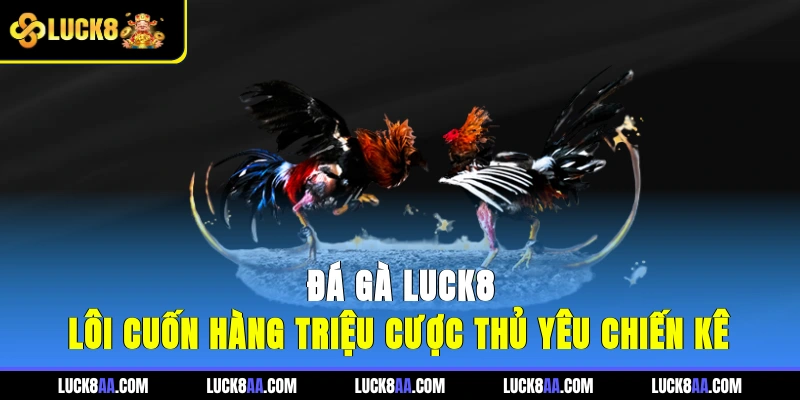 Đá gà LUCK8 lôi cuốn hàng triệu cược thủ yêu chiến kê