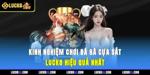 Kinh Nghiệm Chơi Đá Gà Cựa Sắt Luck8 Hiệu Quả Nhất