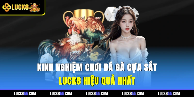 Kinh Nghiệm Chơi Đá Gà Cựa Sắt Luck8 Hiệu Quả Nhất