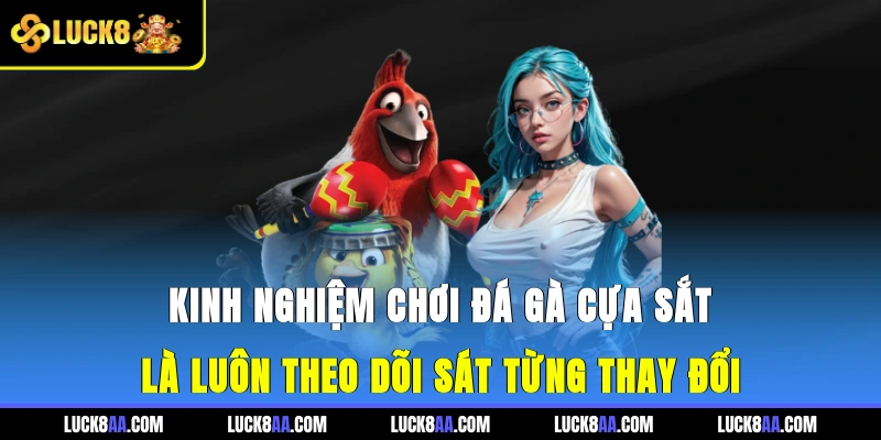 Kinh nghiệm chơi đá gà cựa sắt là luôn theo dõi sát từng thay đổi