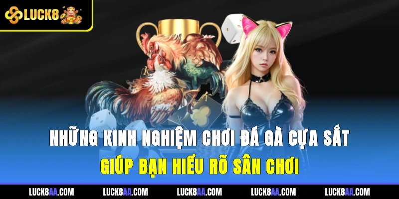 Những kinh nghiệm chơi đá gà cựa sắt giúp bạn hiểu rõ sân chơi