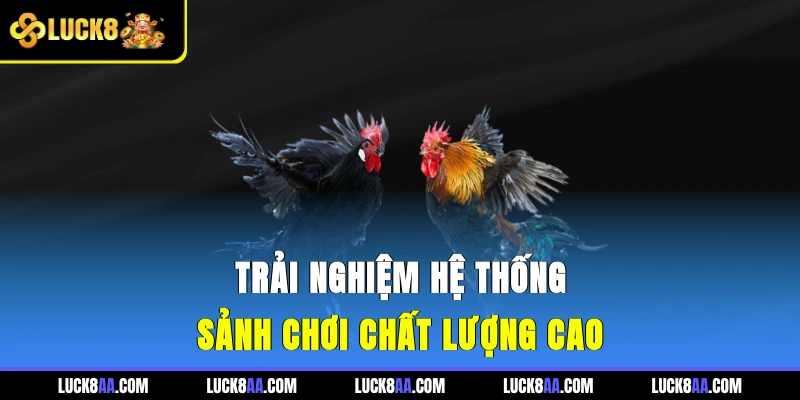 Trải nghiệm hệ thống sảnh chơi chất lượng cao